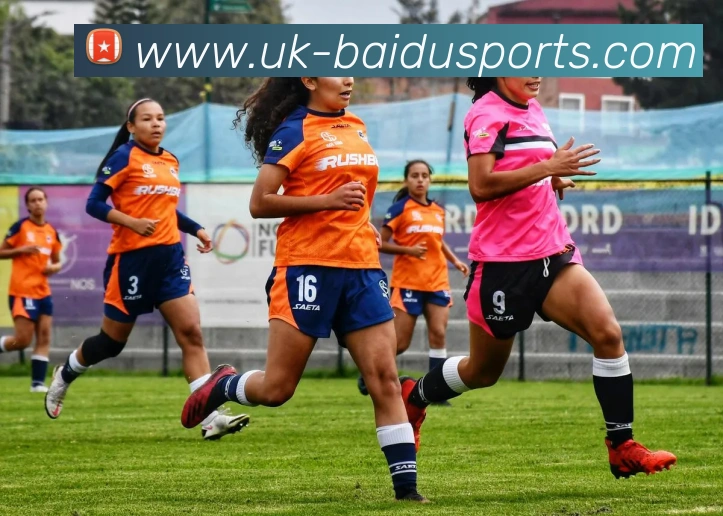 百度体育平台平台生态图